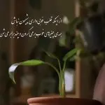 دانلود آهنگ شاید تو اصلا حال منو کلا ندونی “ریمیکس هوش مصنوعی” از معین، هایده، شادمهر